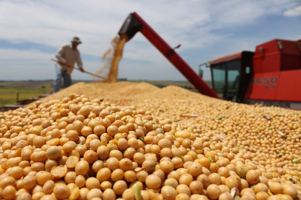 Preço da soja chega a R$ 106 por saca no Brasil, aponta Safras