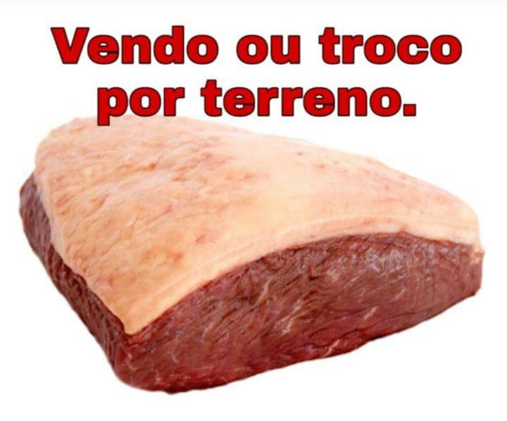 vendo-troco-terreno-carne-bovina-e1575305336677.jpeg