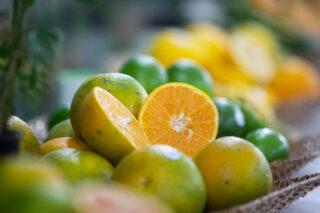 laranja, Citricultura responde por 7,48% dos empregos gerados no Brasil em 2019