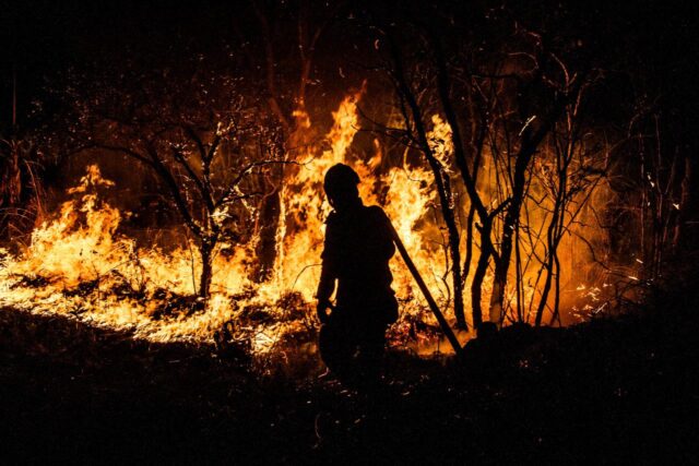incêndio pantanal mato grosso